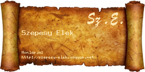 Szepesy Elek névjegykártya